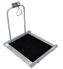 Electronic Wheel Chair Scales