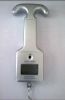 Electronic hanging scale