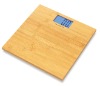 Electronic personal scale