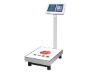 Electronic platform scale