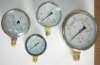 Euro Stainless Steel Pressure Gauge (DIN)