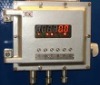 Explosion-proof Anti-explosion Weighing Indicator