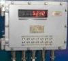 Explosion-proof Weighing Indicator