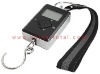 Fishing and Luggage Scale