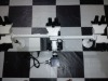 Five Binocular Head Microscope