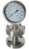 Flange Connection Diaphragm pressure Gauge