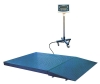 Floor Scale(Capacity:500kg to 10000kg)