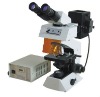 Fluorescence Microscope XY-1