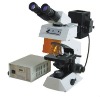 Fluorescence Microscope XY-1