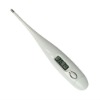 Functional Digital Thermometer