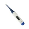 Functional Digital Thermometer