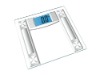 GP-WS064 Glass scale