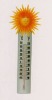 Garden Thermometer