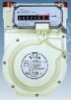 Gas Meter