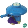 Gas Pressure Regulator