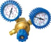 Gas Pressure Regulator