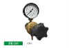 Gas Pressure Regulator CO2