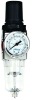 Gas filter regulator