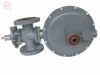 Gas pressure regulator