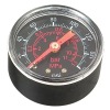 Gauge