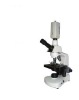 HL-C1 Quadruple nosepiece video microscope