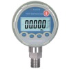 HX601D Precision test Gauge