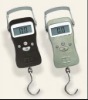 Hanging Scale