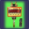 Hanging scales electronic