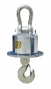 Heat-Proof Wireless Crane Scale