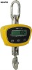 Heat-insulated Electronic Hanging Scale
