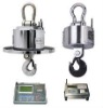 Heat-insulated electronic hanging scale