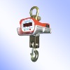 Heatproof Crane Scale(Capacity:1-30t)