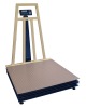 Heavy Duty Platform Scale