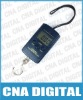 High Accuracy Portable Digital Scale with Stainless Steel Hook (20g ~ 40kg)