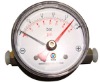 High Magnetic Piston Differential Pressure Gauge