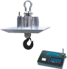 High Temperature Crane scales