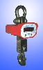 Hook Crane Scale with LED display(Capacity:600kg~10000kg)