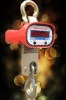 Hook Crane Scale with LED display(Capacity:600kg~10000kg)