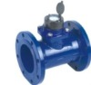 Horizontal Woltman flowmeter