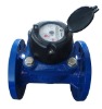 Horizontal vane wheel dry-dial water meter for irrigation