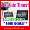Hot Selling Timer (TM1004)