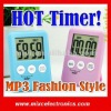 Hottest Timer (TM2005)