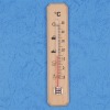 Household thermometer