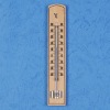 Household thermometer