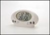 INTELLI THERMOMETER W/HYGRO