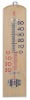 Indoor /outdoor thermometer