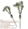 Industrial Assembly RTD Thermocouple Sensor