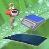 Industrial Electronic Scale(Capacity:100g to 100ton)