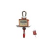 Industrial Heat proof crane scale (1-30T)