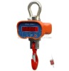 Industrial crane scale